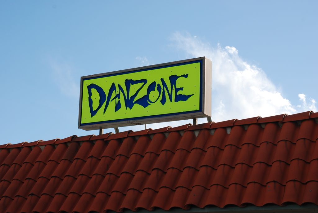 Danzone