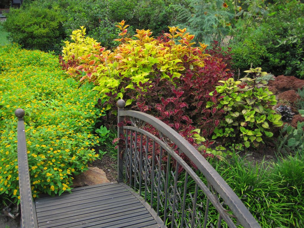 Colorful Gardens Design & Landscape