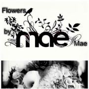 Flowers by MaeMae