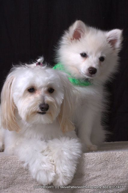Sophie and Noah
