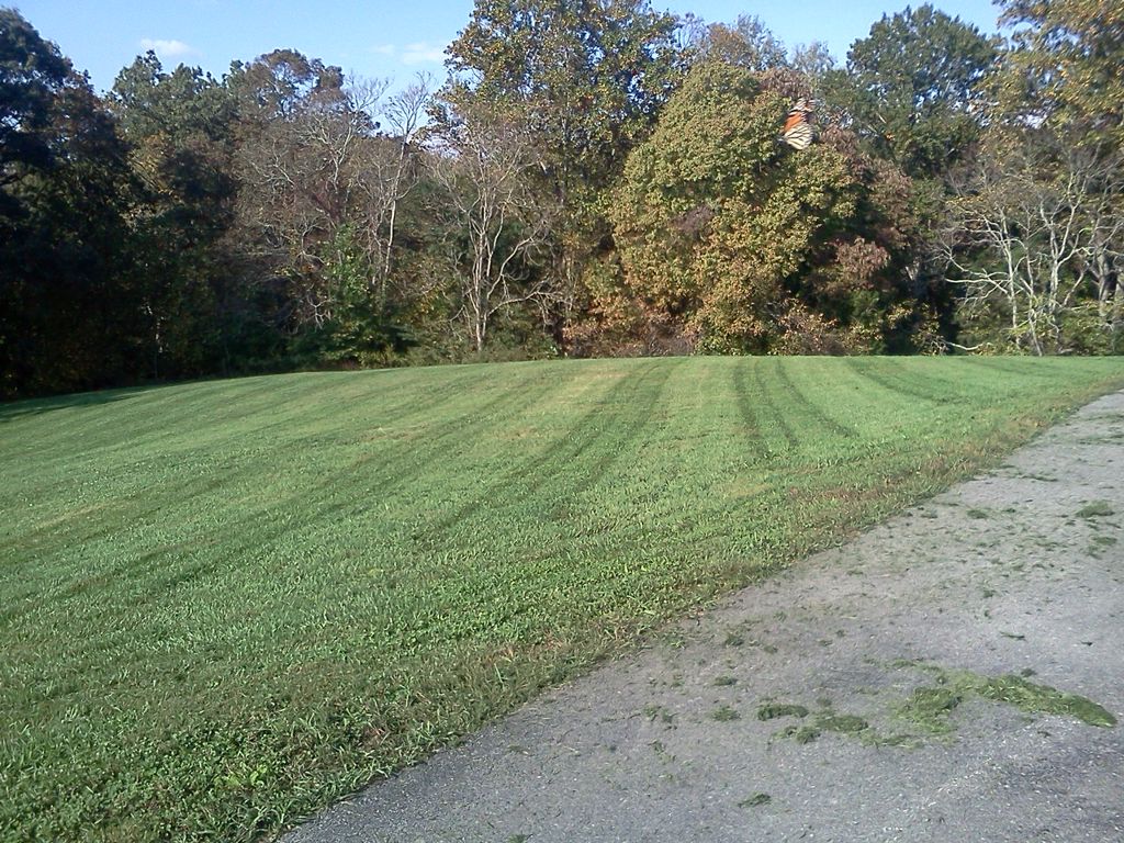 lawn mowing before clean up