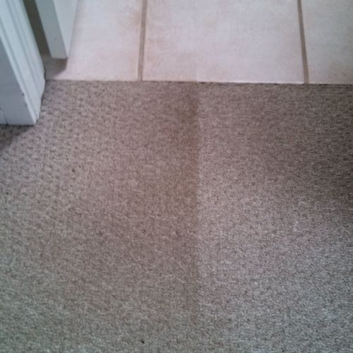 One of our customers thought his carpets were "cle