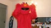 THis is My Elmo Suit.