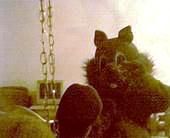 this is my squirrel suit.