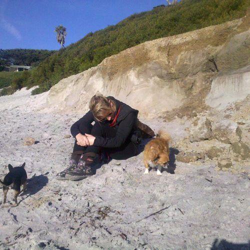 Hanging with the dogs at the beach