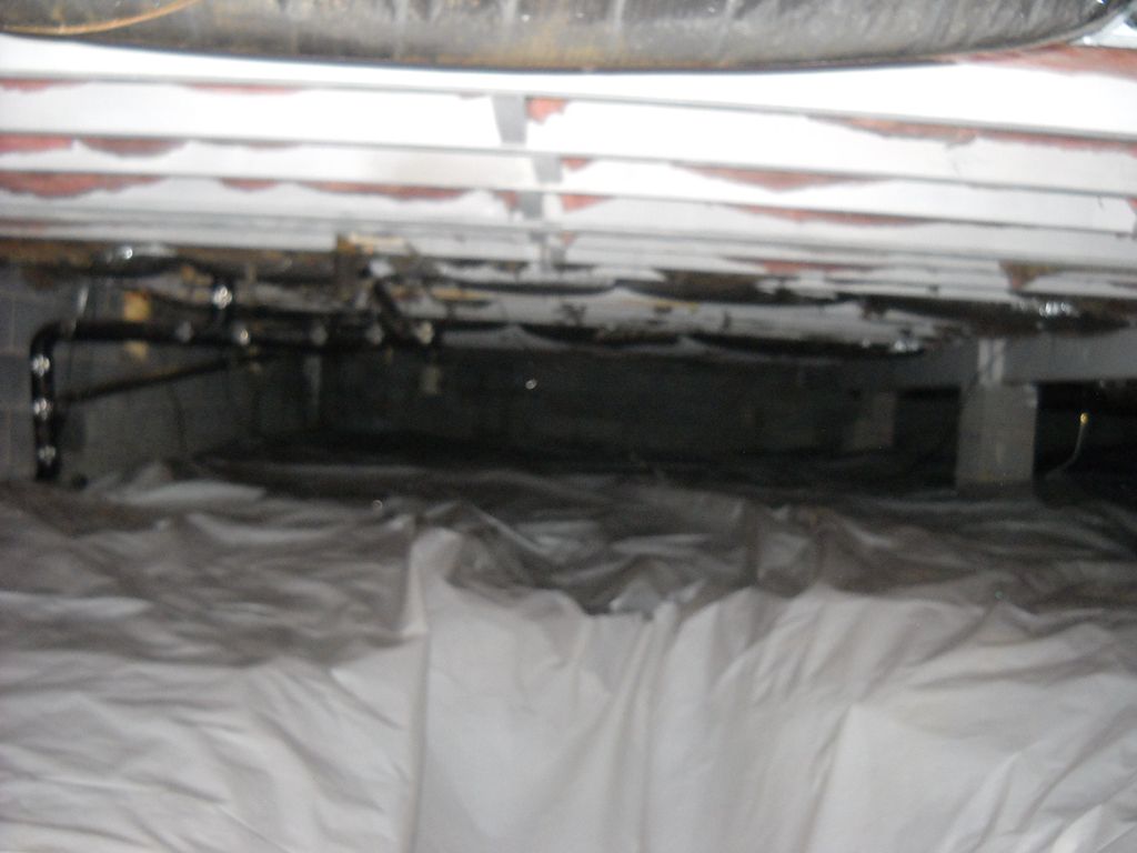 Riffle's Crawlspace Solutions