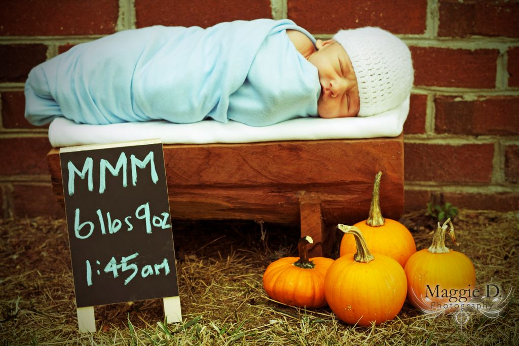 Newborn Session