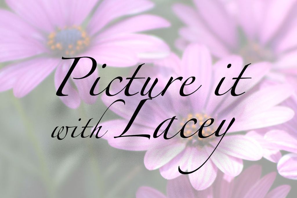 Picture it with Lacey Photography