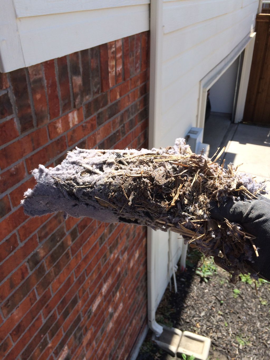 Exterior wall dryer vents are like hotels for bird
