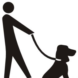 Golden Bear Home and  Pet Care