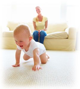 We are the premium carpet cleaning service in Colo