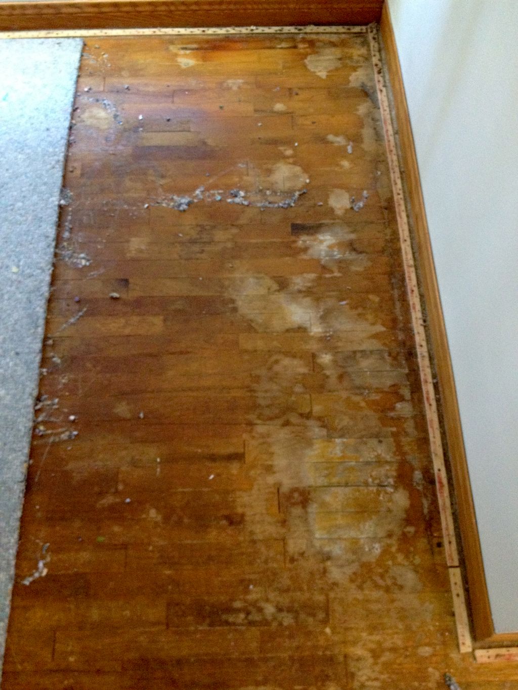 Cat urine & dog  urine stains on hardwood flooring