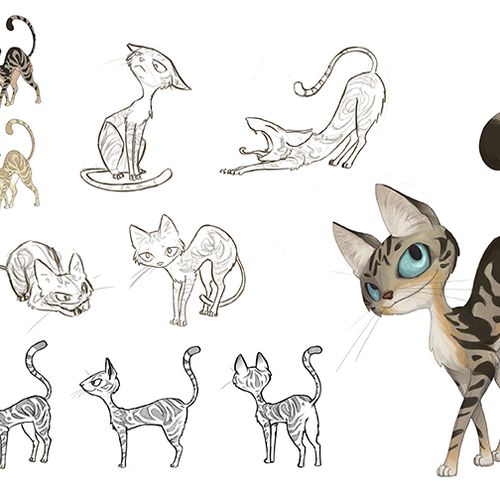Cat character sheet. Adobe Photoshop.