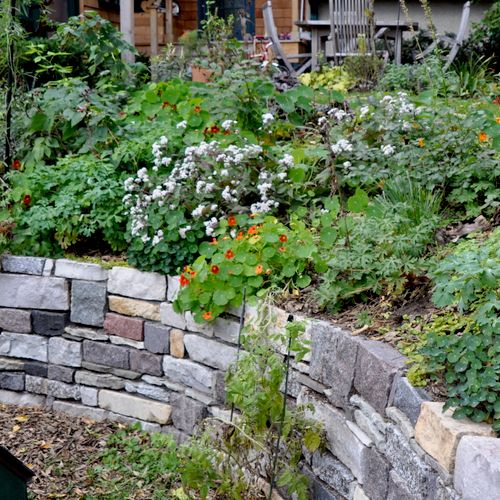 Retaining wall herb garden