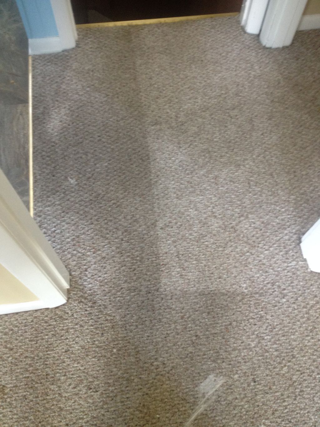 Carpet in a remodel home in Fayetteville, Tn.