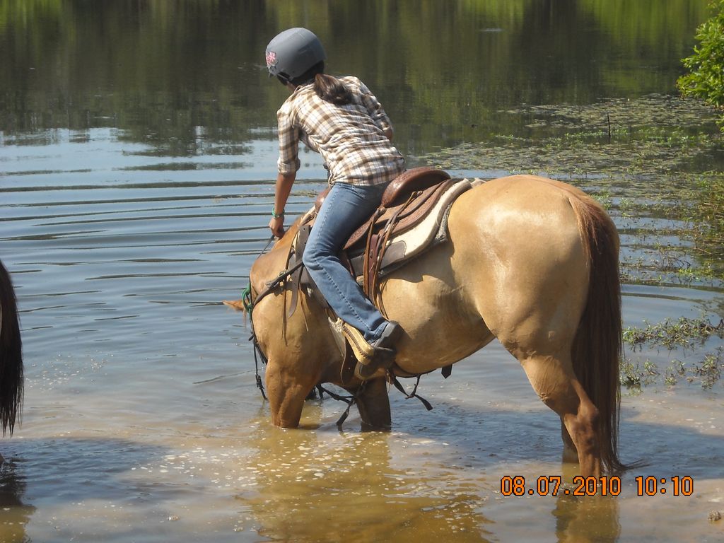 Giving the horse a drink at Circle D Ranch