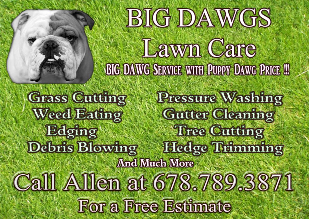 Big Dawg Lawn Care