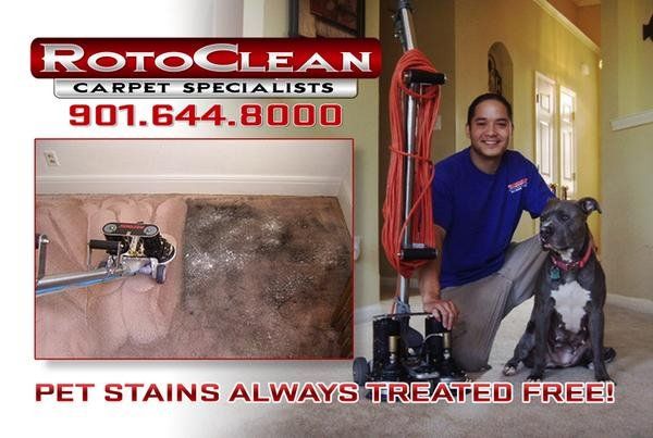 RotoClean Services