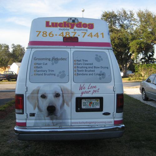groomer truck dog