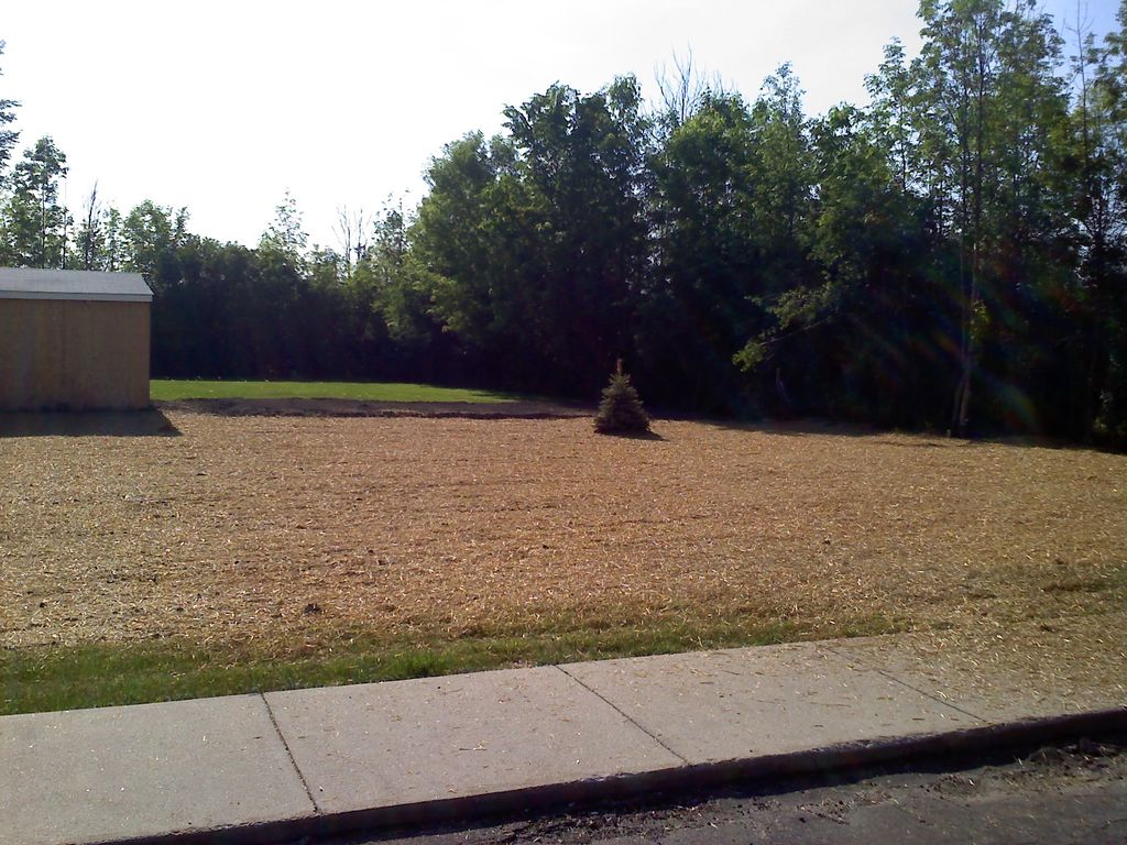 Once the area was prepped I applied a high quality