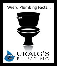 ----- BLOG POST -----

5 Weird Plumbing Facts You 