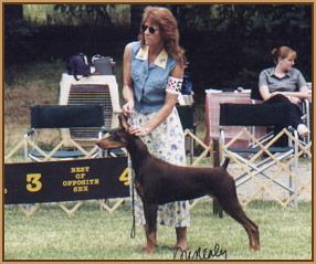 Kathy in the ring with a client dog..."Callisto" a