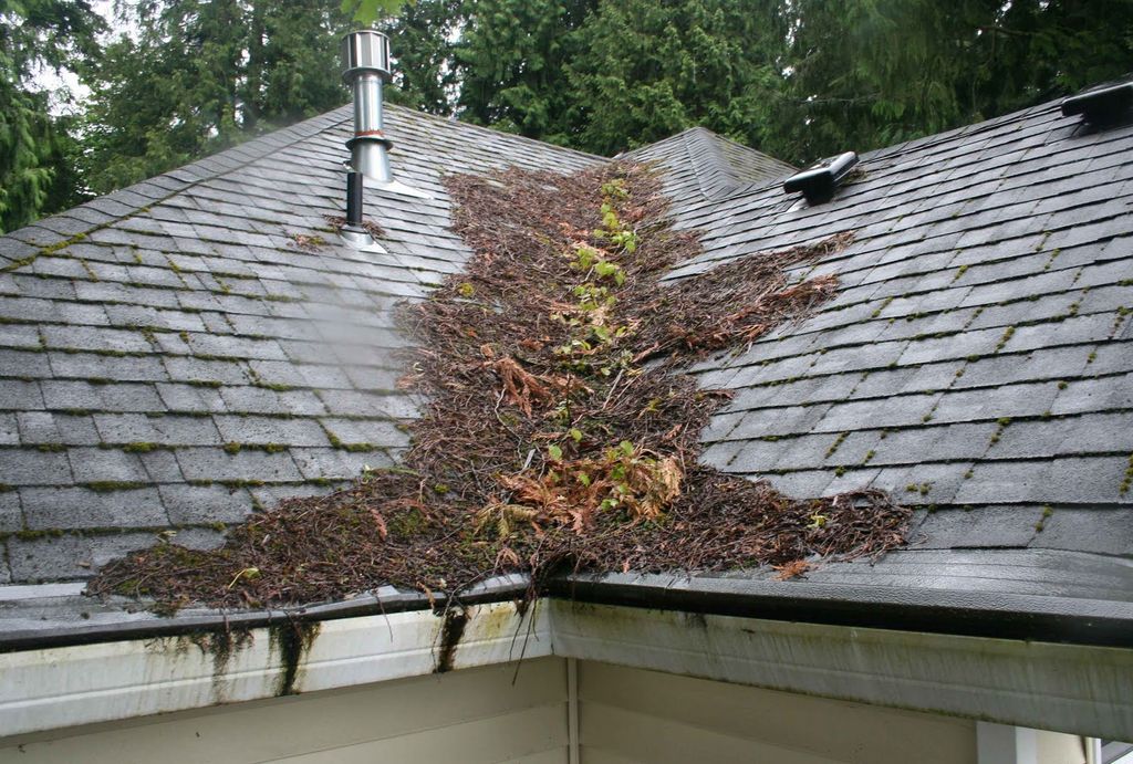 If you have leaves and sticks on your roof, we tho