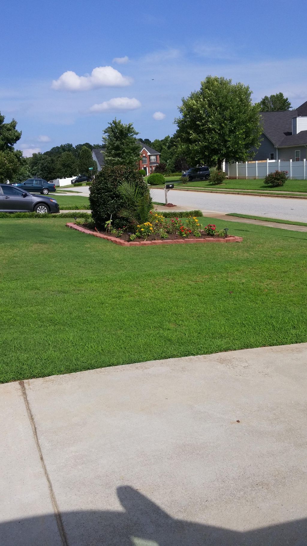 Island of Tropical Flower Bed - Ellenwood, GA