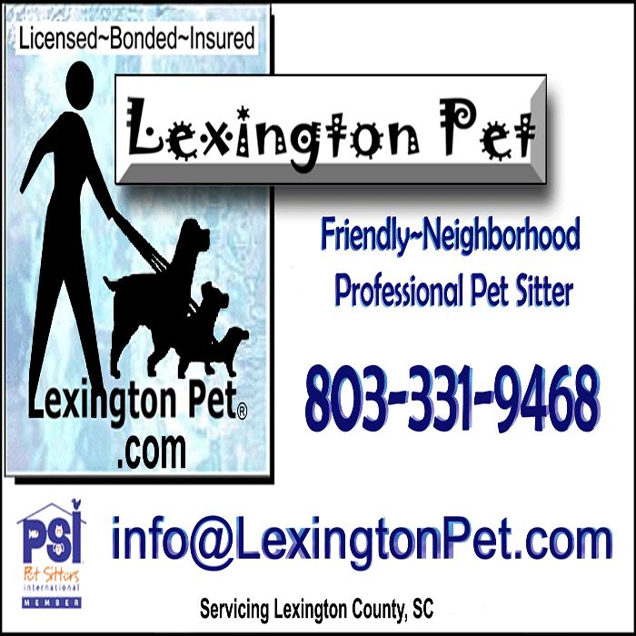 Lexington Pet