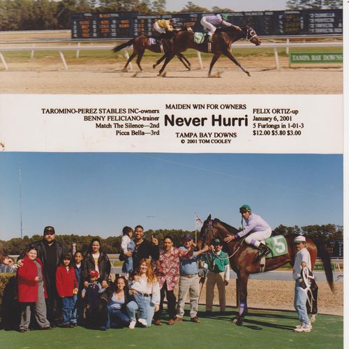 MY 1ST THOROUGHBRED   HER  1ST LIFETIME RACE  SHE 