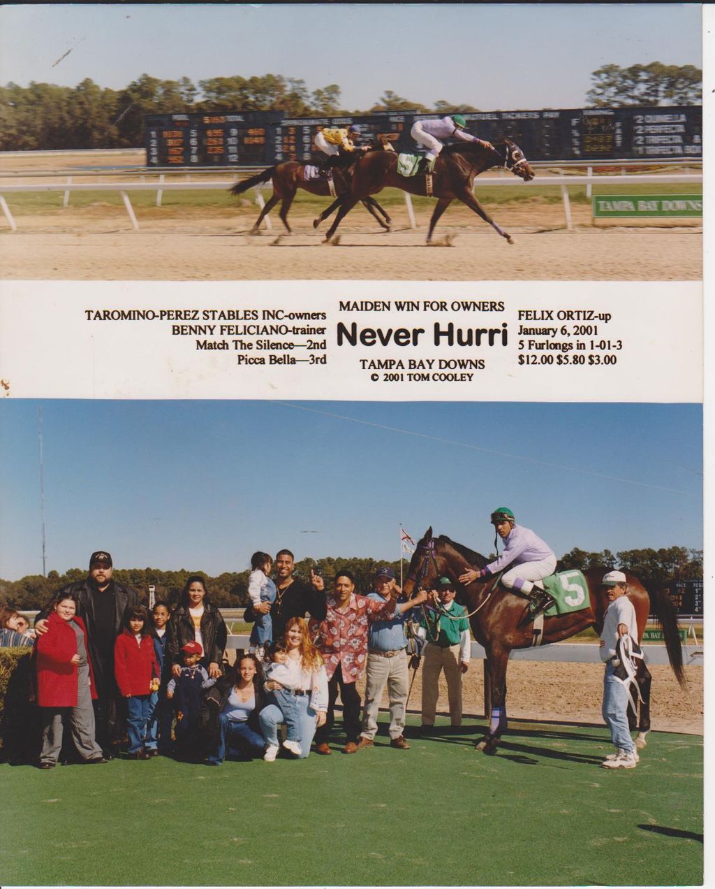 MY 1ST THOROUGHBRED   HER  1ST LIFETIME RACE  SHE 