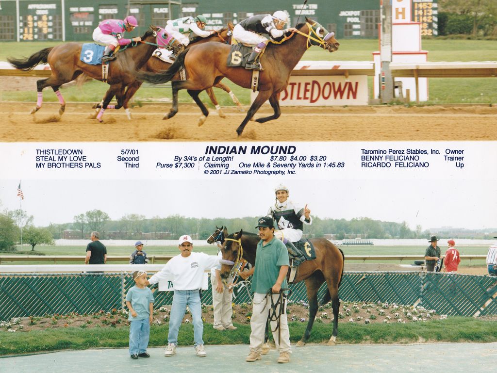 ONE OF MY MANY WINNING HORSES