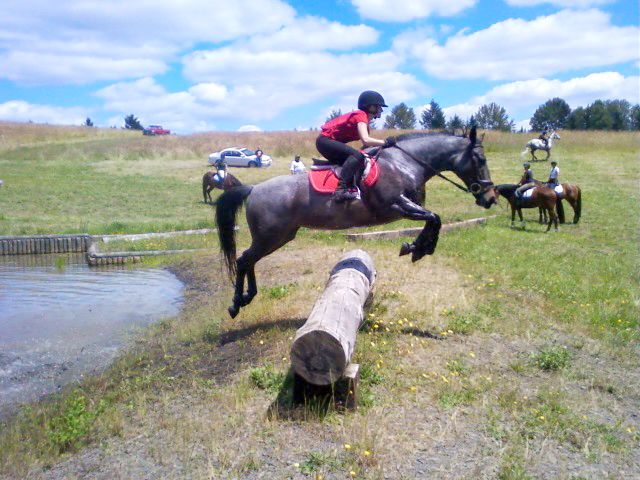 Iron Horse Riding Academy