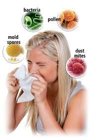 Helps reduce coughing, sneezing & allergies.  Clea