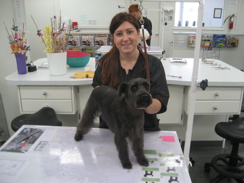At grooming school.