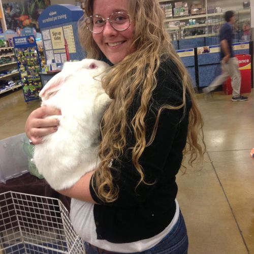 Volunteering with the Gainesville Rabbit Rescue