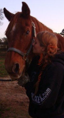 My Cuz, quarter horse, at 20 years.