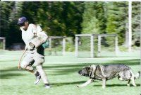 Lower Lassen K9 Dog Training