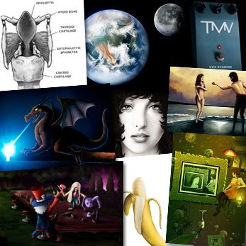 Projects and media