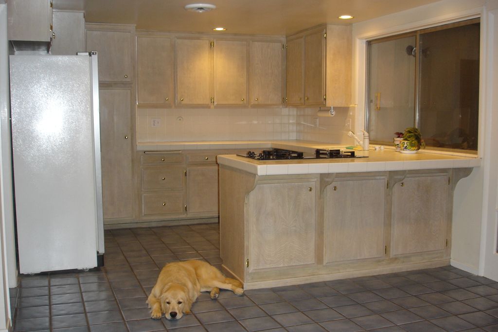 Dusty, very unhappy about his old kitchen.