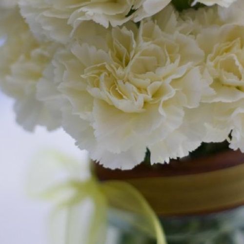 Cream carnations in mason jars were the centerpiec