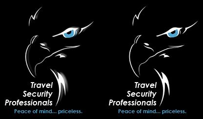Travel Security Professionals