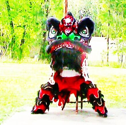 Disciple Shawn Colvin doing southern lion dancing