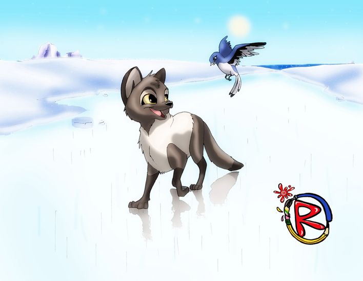 Snow Fox