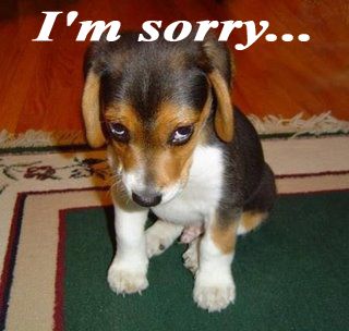 Pet Odor Control/Removal