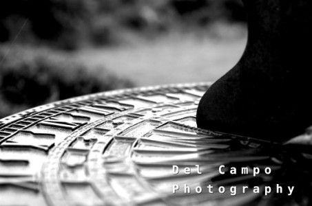 Del Campo Photography