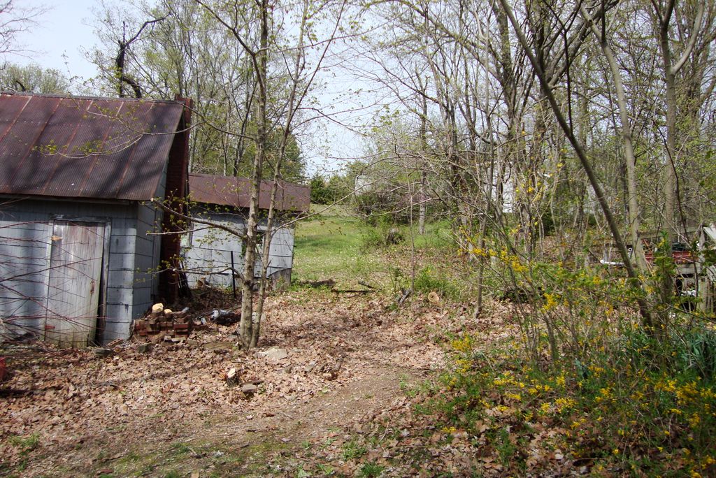 After Clean up Job in Cobden