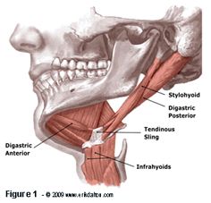 Sessions include techniques that relieve TMJ
