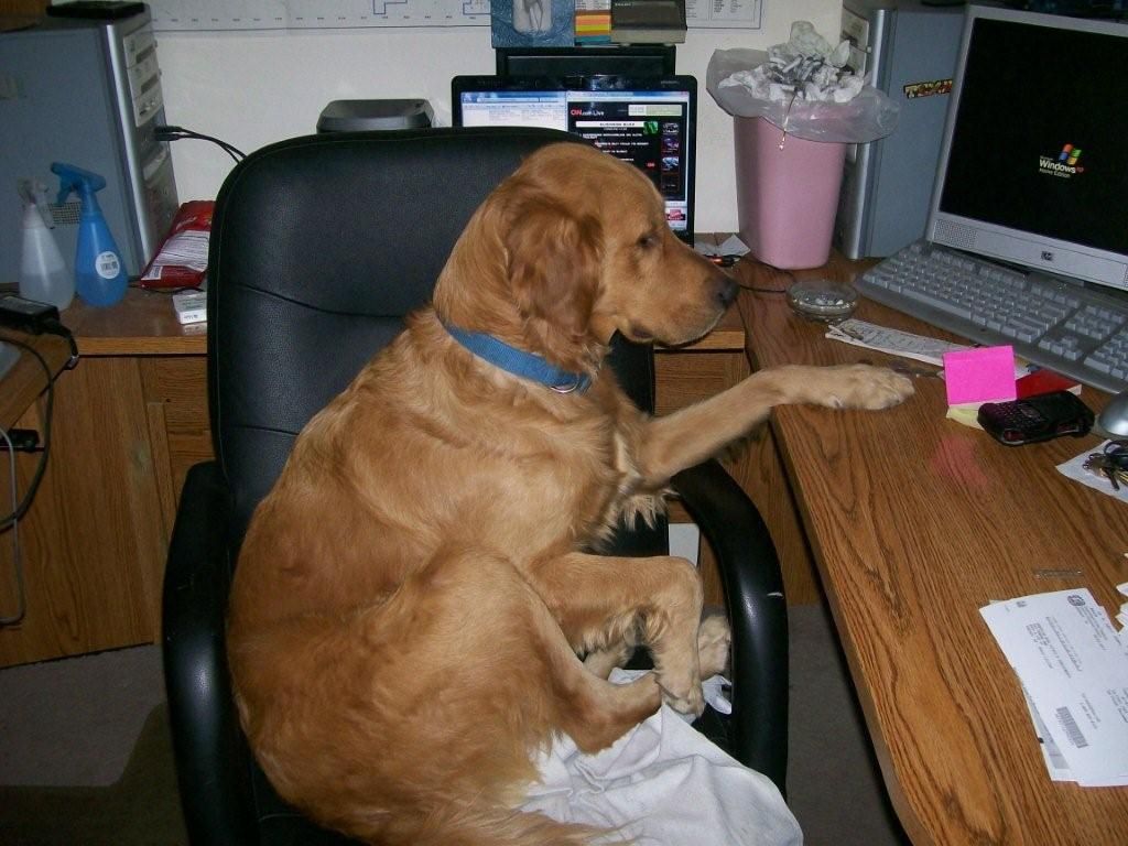 Just doin' a little work from home.