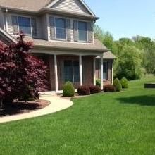 Professional Lawn & Landscaping